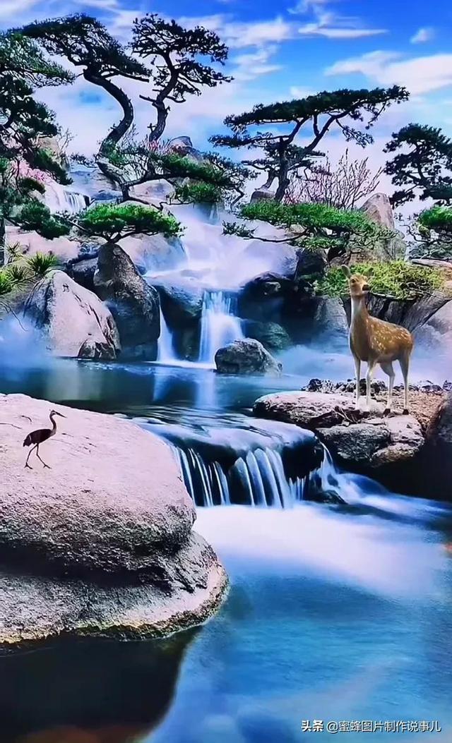 海底世界填颜色3